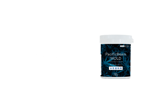 PBM-DS